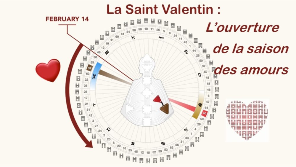 Design Humain : La Saint-Valentin - L'ouverture de la saison des Amours !