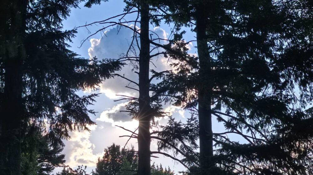 Design Humain : Éveillez et Incarnez Vos Potentialités